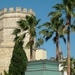 Jerez7