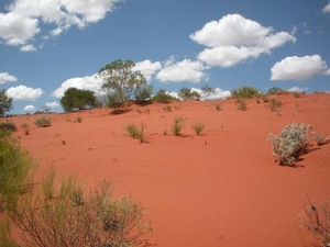 red centre bij Uluru (3)-800