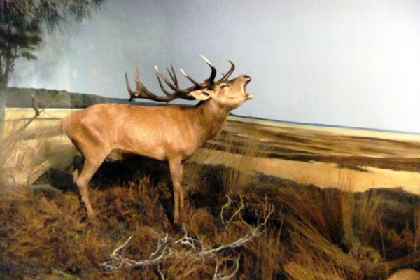 Gepensioneerdendag RWS 2011 020