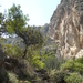 65 kamboskloof