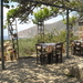 68 taverna in afrotolakkes