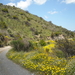 90 Katsomatados-Sassalos wandeling