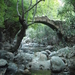 98 oude stenen brug in tsichliano kloof