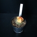 Myriostigma cv. Koh-yo orange variegated x Koh-yo kikko 1