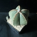 Astroph. myriostigma nudum cv. kikko