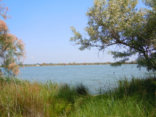 Aigues-Mortes domein poisson d'argent