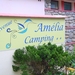 St Amlie les Bains