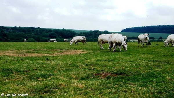 marche Adeps wandeling Biesmere