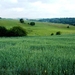 2011_06_05 Biesmere 09