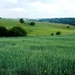 2011_06_05 Biesmere 09