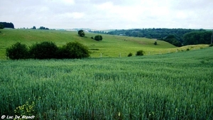 2011_06_05 Biesmere 09