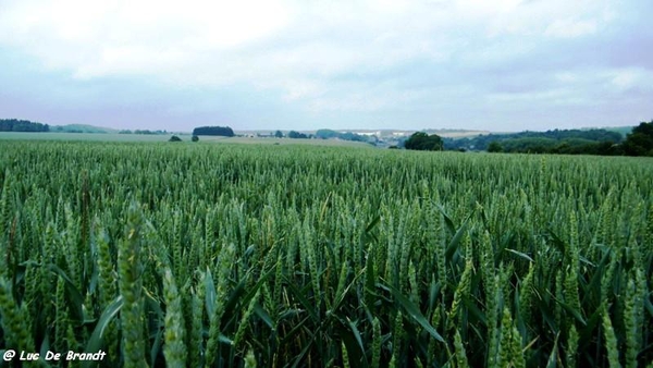 marche Adeps wandeling Biesmere