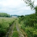 2011_06_05 Biesmere 12