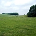 2011_06_05 Biesmere 22