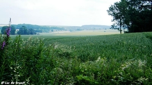 2011_06_05 Biesmere 33