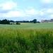 2011_06_05 Biesmere 34