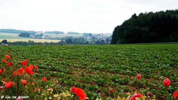 marche Adeps wandeling Biesmere