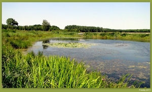 Natuurpark RHODESGOED KACHTEM-IZEGEM