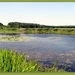 Natuurpark RHODESGOED KACHTEM-IZEGEM