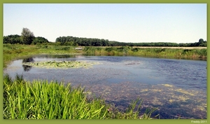 Natuurpark RHODESGOED KACHTEM-IZEGEM