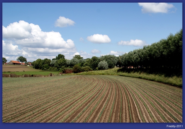 Staden-(omgeving Stadenberg