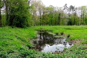 Sterrebos-Rumbeke