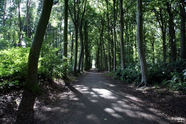 Sterrebosdomein-Rumbeke-Roeselare