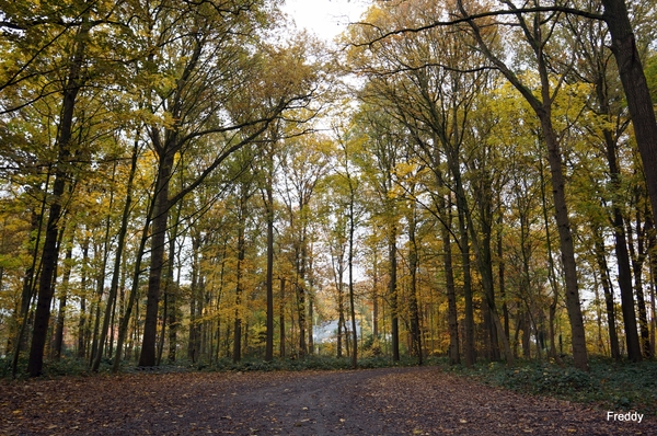 Vrijbos-Houthulst-Herfst-2012