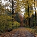 Vrijbos-Houthulst-Herfst-2012