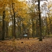 Vrijbos-Houthulst-Herfst-2012