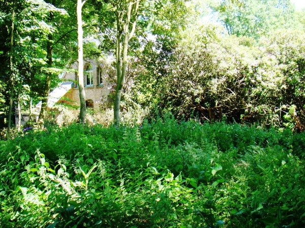 WOLVENHOF MEI 2011 009