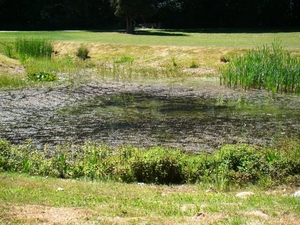 WOLVENHOF MEI 2011 040