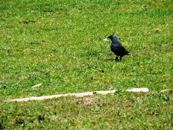 WOLVENHOF MEI 2011 076