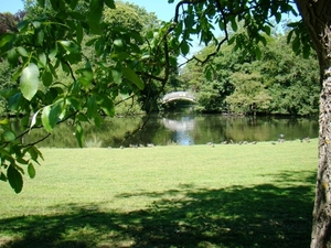 WOLVENHOF MEI 2011 082