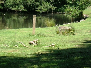 WOLVENHOF MEI 2011 087