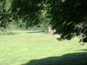 WOLVENHOF MEI 2011 088