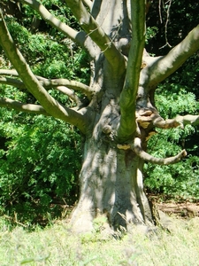 WOLVENHOF MEI 2011 098