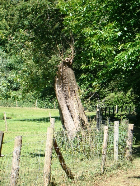 WOLVENHOF MEI 2011 102