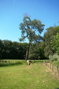 WOLVENHOF MEI 2011 113