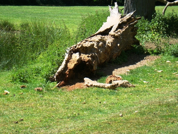 WOLVENHOF MEI 2011 116