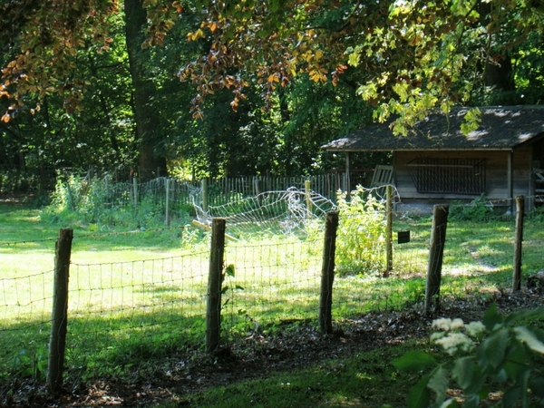 WOLVENHOF MEI 2011 139