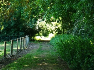 WOLVENHOF MEI 2011 141