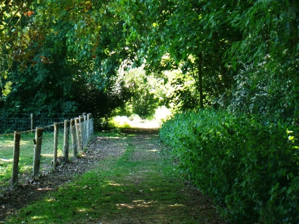 WOLVENHOF MEI 2011 141