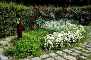 Poperinge-De LOVIE-Vlindertuintje- 17-8-2013