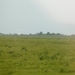 P1040616
