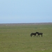 P1040654