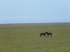 P1040654
