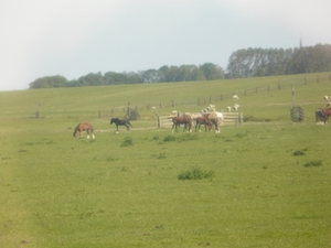 P1040692