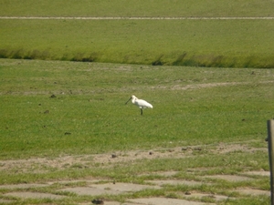 P1040694