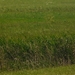 P1040703